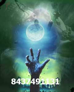 BLACK magic specialist  Astrologer baba ji - +91-8437491131