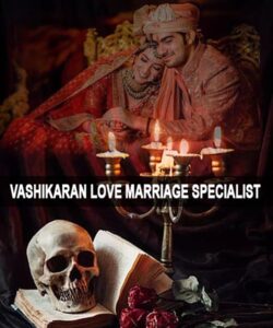 Vashikaran Love Marriage Specialist